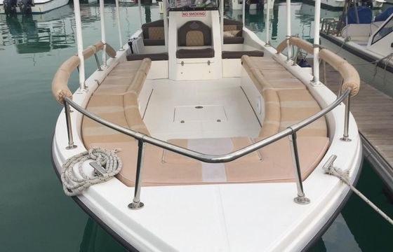 Fishing/Crusing Boat 33ft