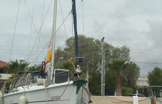 HUNTER LEGEND 44