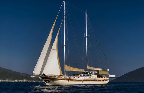 ECE ARINE LUX GULET