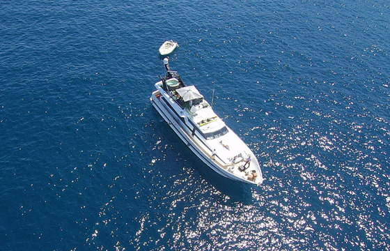 Maiora 74