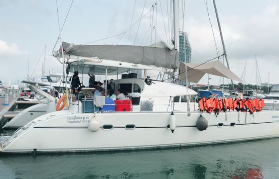 Sixty six brooms (LAGOON470)