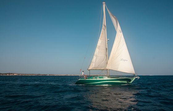 Sara of the Sea