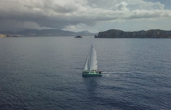 Bella Verde