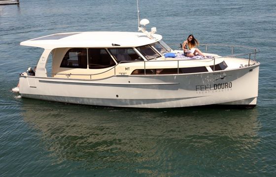 Greenline 33