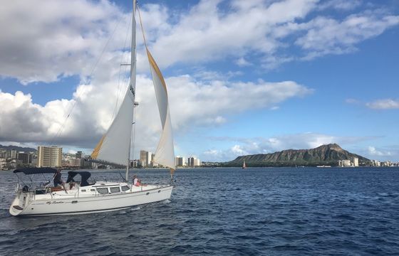 My Sunshine Sailing