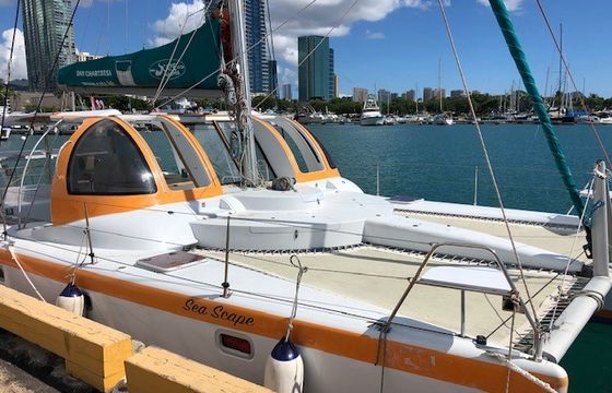 Sea Scape Sailing