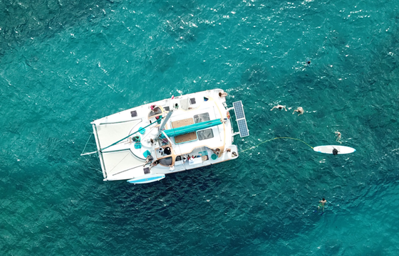 Sea Scape Sailing