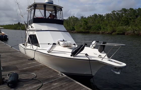 Samaki