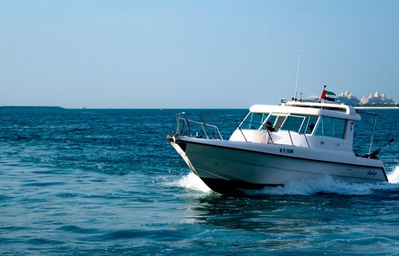 DT 1338