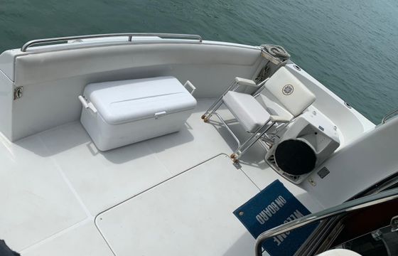 Carver 54'