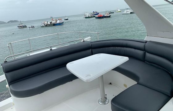 Carver 54'