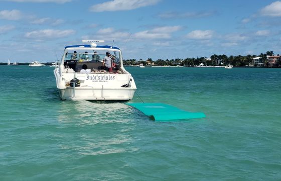 42' Searay Sundancer