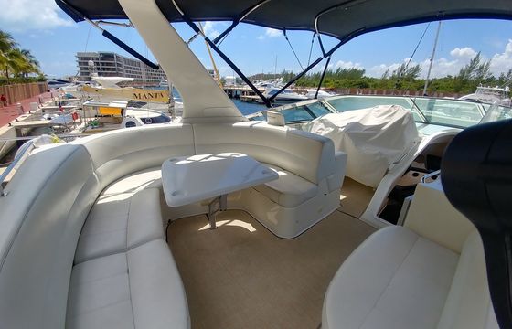 Carver 55ft with Fly Bridge