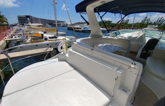 Carver 55ft with Fly Bridge