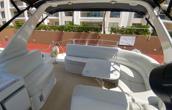 Carver 55ft with Fly Bridge