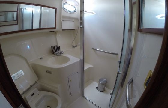 SeaRay 41 with Fly Bridge