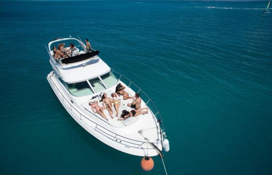 SeaRay 41 with Fly Bridge