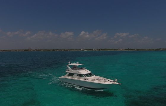 Sea Ray 55 with Fly Bridge
