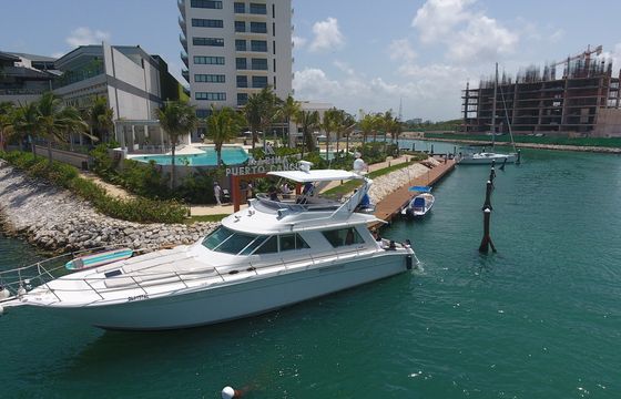 Sea Ray 55 with Fly Bridge