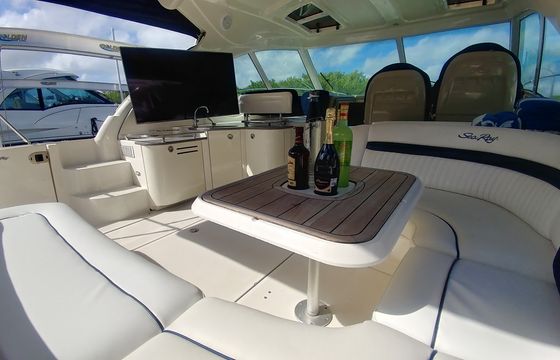 Sea Ray 50 with Fly Bridge