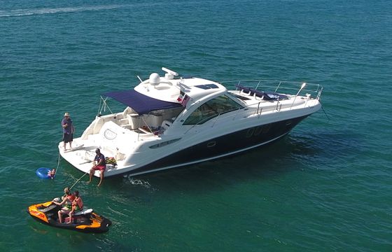 Sea Ray 50 with Fly Bridge