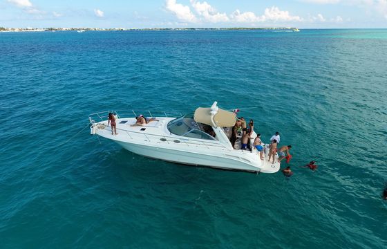 Sea Ray 41 Motor Yacht