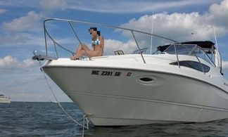 Charter the 31' Bayliner Yacht