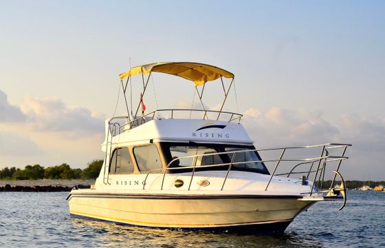 Rising Boat Charter