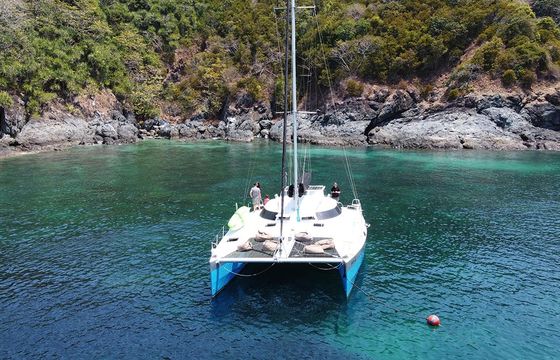 48ft Sailing Catamaran