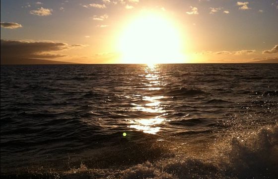 Aloha Kai