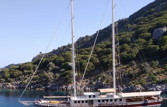 TERSANE 8
