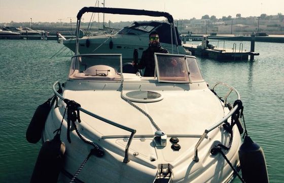 Ranieri Sea Lady 23