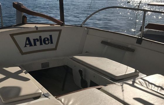 Ariel