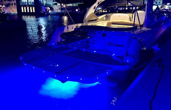 Sea Ray 425