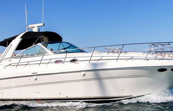 SEA RAY 455