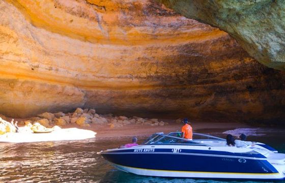 Cobalt 240 Bowrider