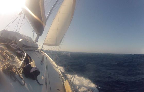 s/y Rinia