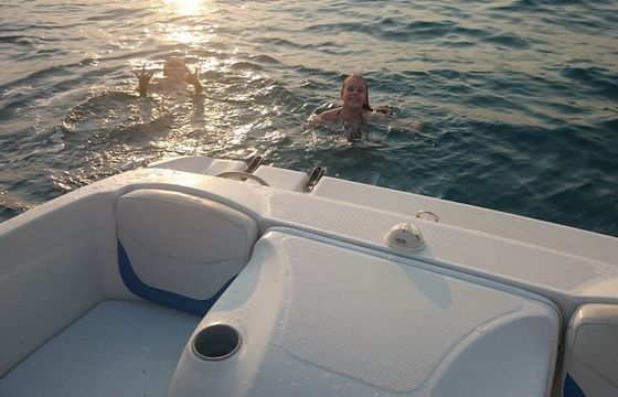 Bayliner 175