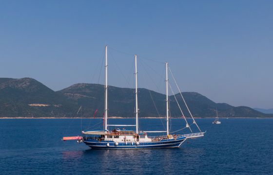 M/S Artemis