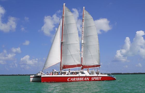 Caribbean Spirit