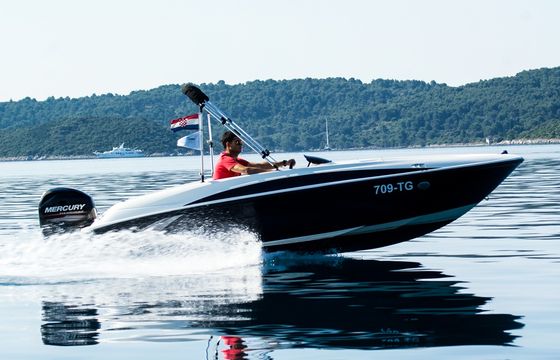 BAYLINER ELEMENT