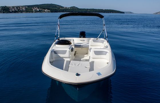 BAYLINER ELEMENT