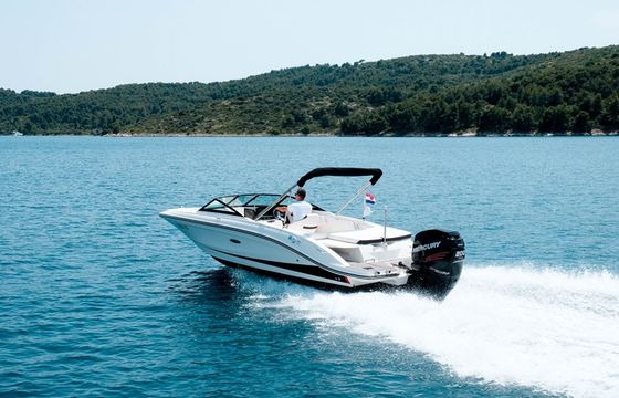 SEA RAY SPX 210 OB