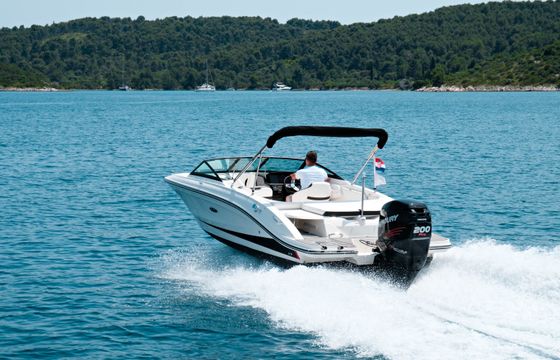 SEA RAY SPX 210 OB