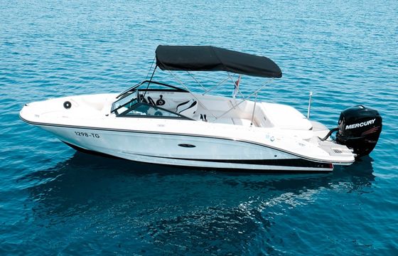 SEA RAY SPX 210 OB