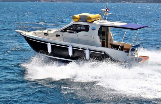 VEKTOR 950 BT (16) - RAVA