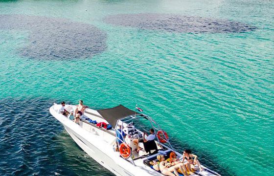 Mercan 36 EXCURSION