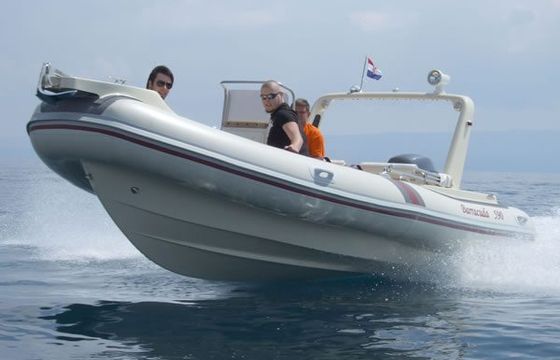 Barracuda 590