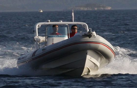 Barracuda 590