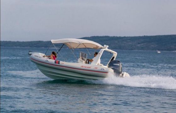 Barracuda 590